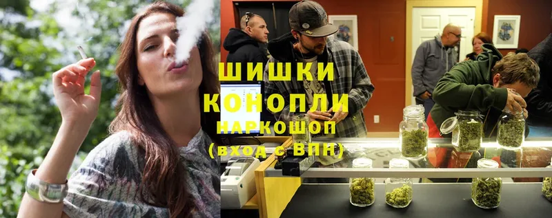 Бошки марихуана THC 21%  закладки  Гвардейск 